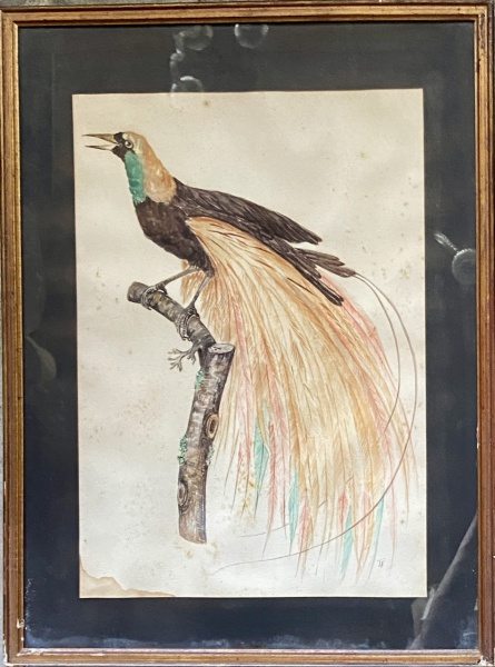 Arte . - 2994 - FRITZ VOELLMY - ÁGUA-FORTE SOBRE CARTÃO - VIST foto 3