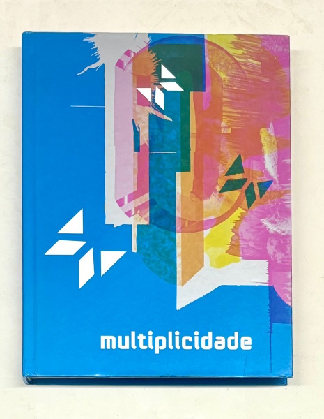 Arte . Livro: Arte Moderna em Contexto - Coleção ABN AMRO REAL foto 7