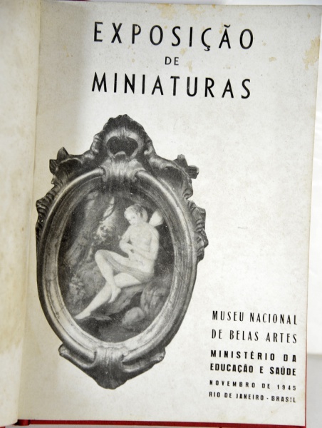 Arte . Livro: RENATO CASTELO BRANCO - Pré-História Brasileira: foto 7