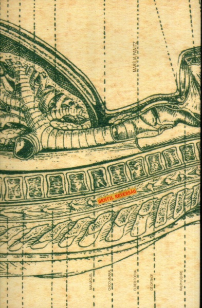 Arte . Livro-catálogo: Arte Contemporânea Brasileira: Um e/ent foto 5