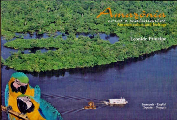 Arte . Livro: PARATY; Religião & Folclore. Autora: Thereza Reg foto 1