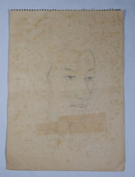 Arte . Balde para gelo cerca de 1950/1960 térmico em plastico foto 7