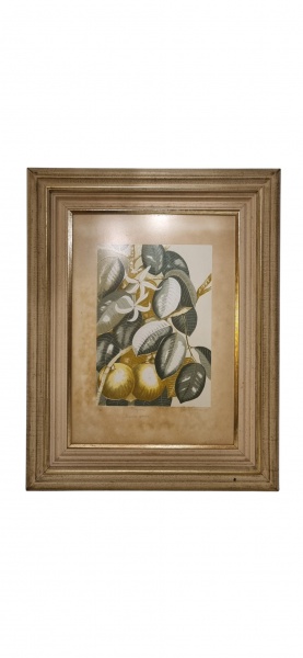 Arte . Quadro Nelsa Azevedo 1969 Ladeira com  personagens e ca foto 4