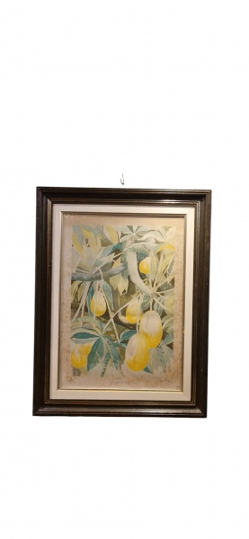 Arte . Celigrafia 1/50 Diana Campos 93Altura 51cm Largura 36cm foto 3