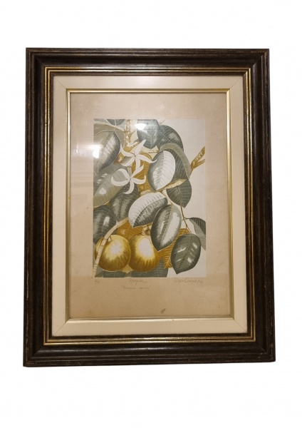 Arte . Celigrafia 1/50 Diana Campos 93Altura 51cm Largura 36cm foto 1